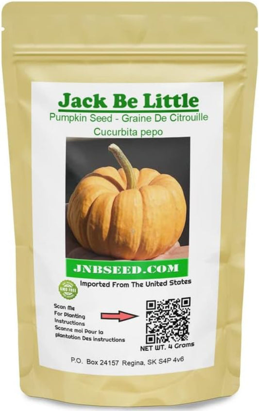 Pack of Jack Be Little Pumpkin Seed Paquet de Jack Be Little Pumpkin Seed