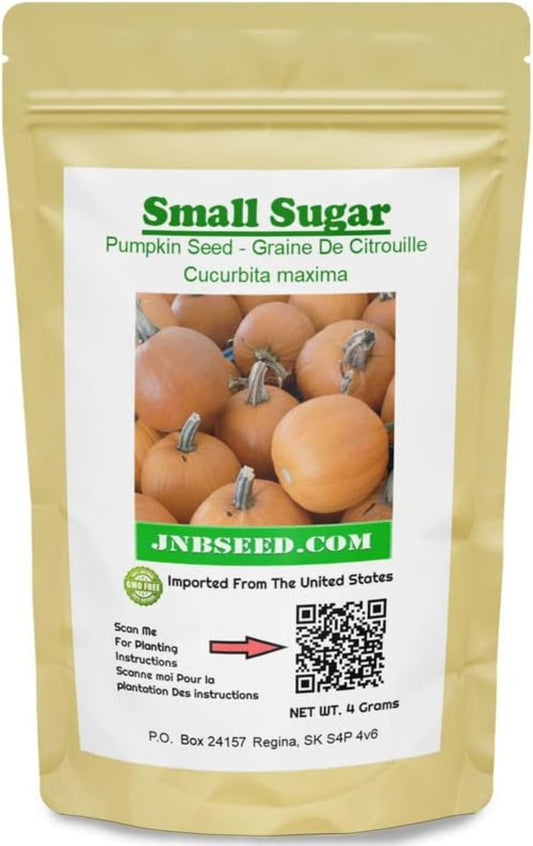 Small Sugar pumpkin seed in a pack Petite graine de citrouille à sucre dans un paquet