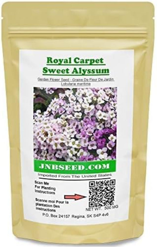 Royal Carpet Sweet Alyssum Flower Seeds in a pack Royal Carpet Sweet Alyssum Graines de fleurs en paquet