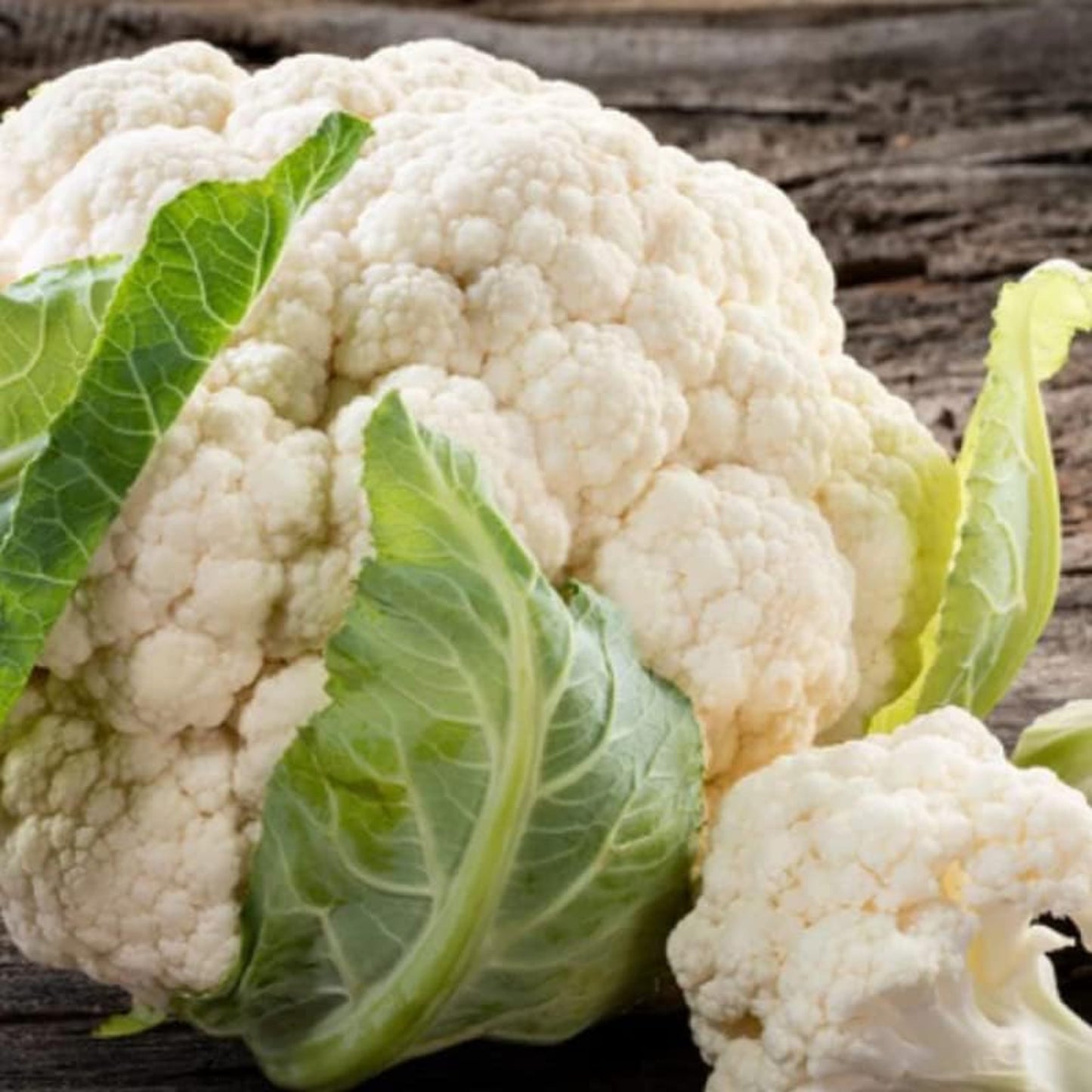 Snowball Y Improved Cauliflowers: a staple in kitchen gardens Choux-fleurs Snowball Y améliorés : un incontournable des potagers