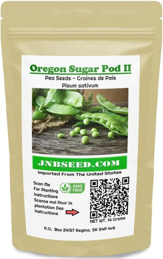 Oregon Sugar Pod II Snow Pea Seeds Oregon Sugar Pod II Snow Pea Seeds dans un paquet