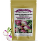 PURPLE TOP WHITE GLOBE TURNIP GRAINES DE NAVET WHITE GLOBE PURPLE TOP SEEDS 