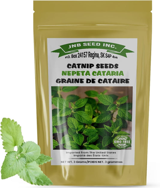 Catnip seeds pack ideal for Canada planting Pack de graines de cataire idéal pour la plantation au Canada