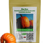 Packet of Big Max Pumpkin Seeds Packet de grosses graines de citrouille max