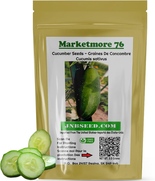 Marketmore 76 Cucumber Seeds in a pack Marketmore 76 Graines de concombre en paquet