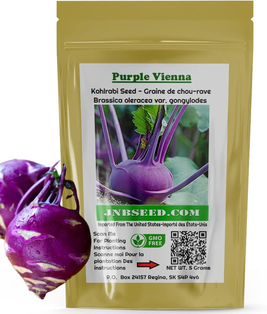Purple Vienna Kohlrabi Seed Pack for Canada planting Pack de graines de chou-rave violet de Vienne pour la plantation au Canada