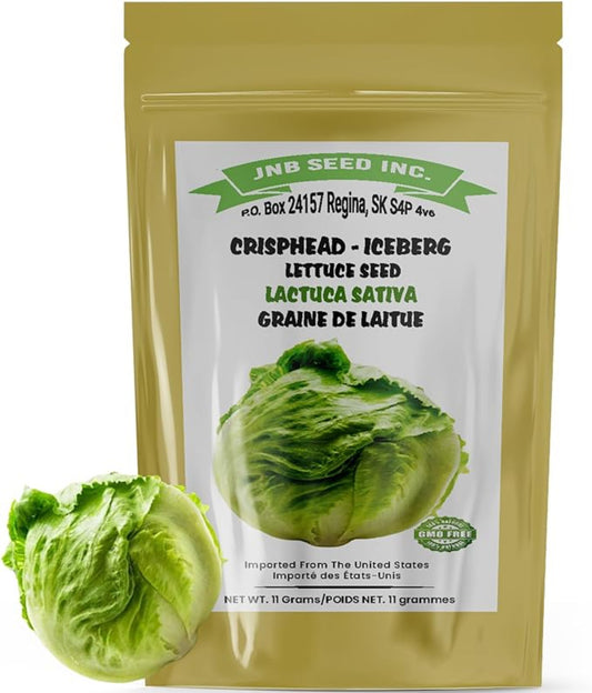 Iceber Lettuce Seed packet Sachet de graines de laitue Iceberg