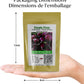 packaging dimensions of Purple Plum Radish seeds pack dimensions d'emballage du paquet de graines de radis prune violet