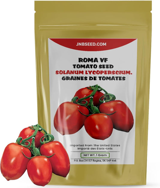Roma VF Tomato seeds in a pack Roma VF Graines de tomate en paquet