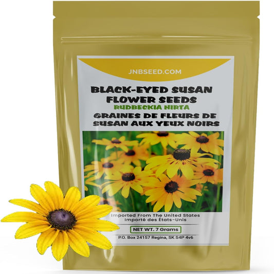 Black-eyed Susan Flower Seeds ideal for Canada planting Graines de fleurs Susan aux yeux noirs idéales pour la plantation au Canada