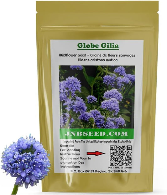 Globe Gilia Flower Seeds for Impressive Garden Graines de fleurs Globe Gilia pour un jardin impressionnant