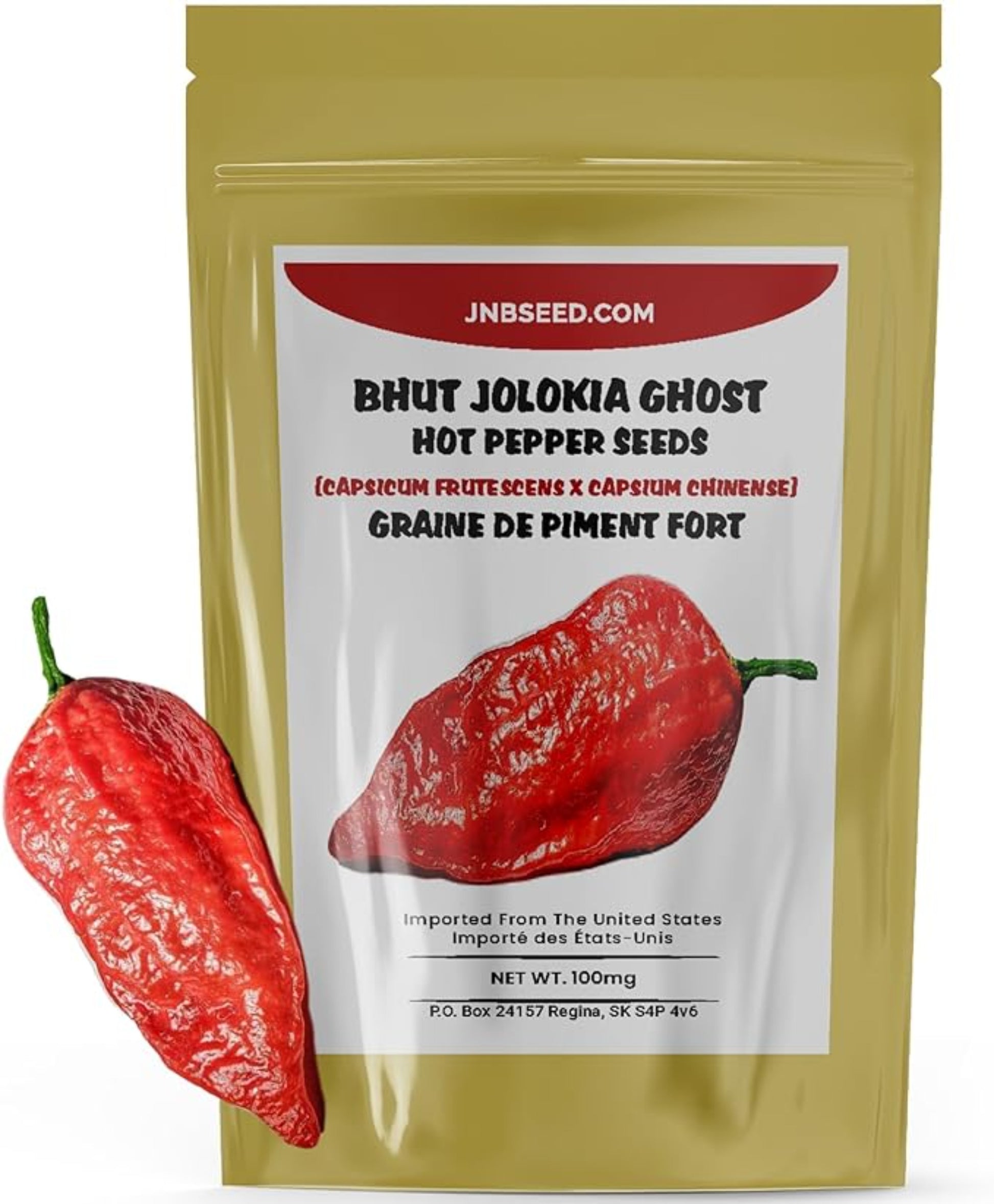 Spilling Bhut Jolokia seed packet Renverser un paquet de graines de Bhut Jolokia