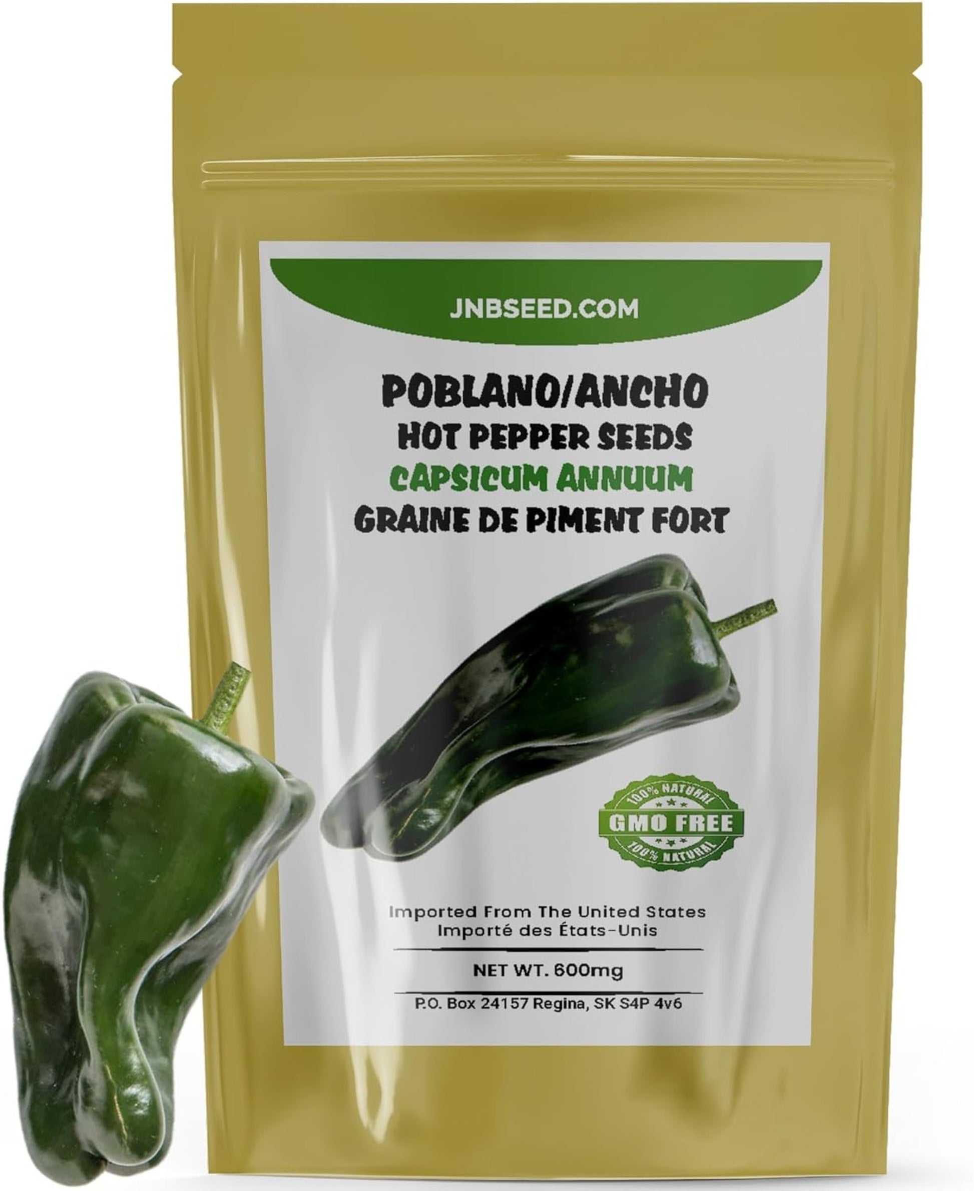 Poblano pepper seeds in a pack  Poblano graines de poivre dans un paquet