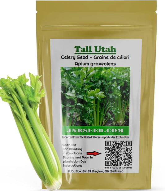 Tall Utah Celery Seed pack ideal for Canada planting Grand paquet de graines de céleri de l'Utah idéal pour la plantation au Canada