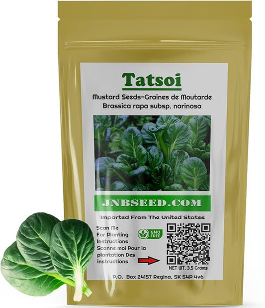 Start Your Garden with Green Tatsoi Cabbage Seeds Démarrez votre jardin avec des graines de chou vert Tatsoi