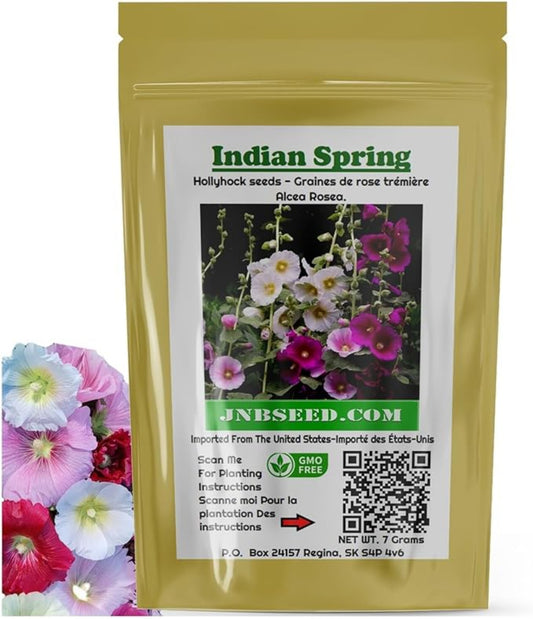 Packet of Vibrant Hollyhock Seeds Mix Sachet de mélange de graines de rose trémière vibrantes