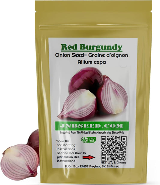 Red Burgundy Onion Seeds - Perfect for Home Gardens Graines d'oignon rouge de Bourgogne - Parfaites pourles jardins familiaux