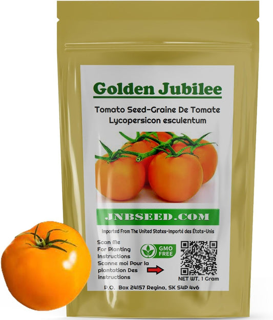 Golden California Tomato Seeds - Start Tomato Journey Graines de tomates Golden California - Commencez le voyage de la tomate