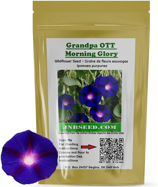 Add Grandpa Ott Morning Glory Seeds to Your Garden Plans Ajoutez les graines Grandpa Ott Morning Glory àvos projets de jardin