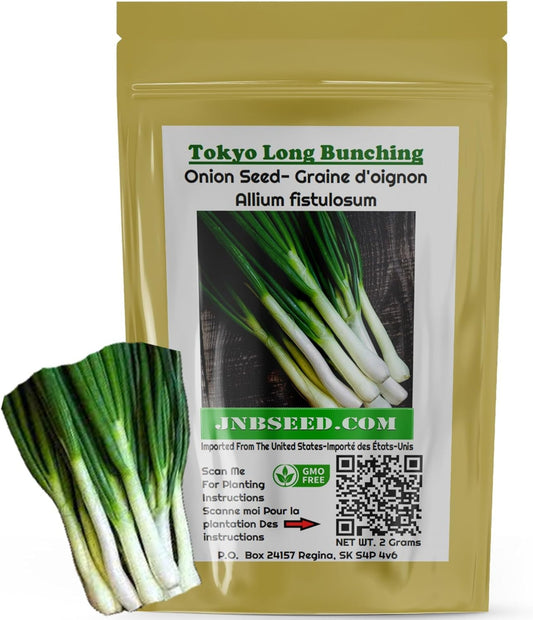 Tokyo Long Bunching Onion Seeds - Perfect for Gardens Graines d'oignon à long bouquet de Tokyo - Parfaites pour les jardins