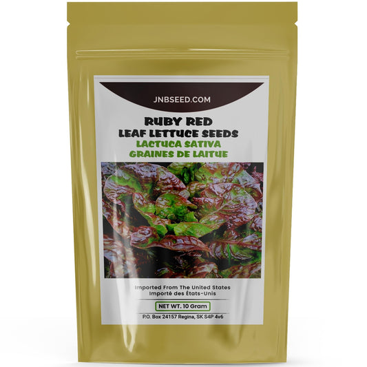 Ruby red leaf lettuce seeds for planting in your garden. Graines de laitue frisée rouge rubis à planter dans votre jardin.