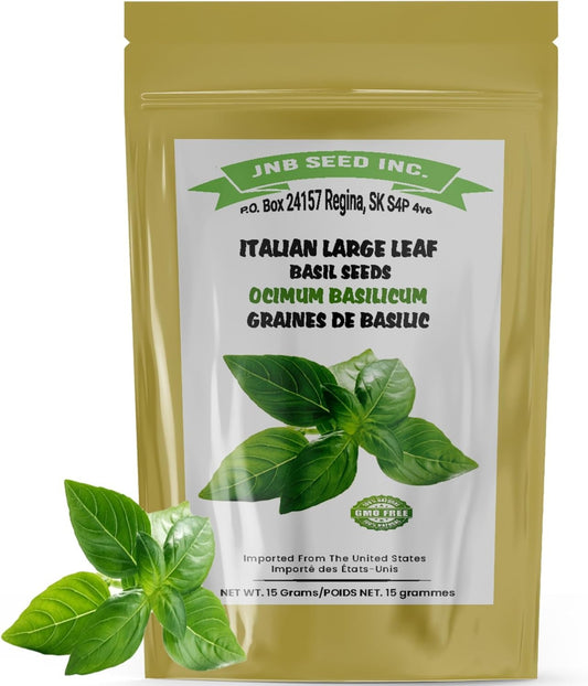 Italian Large Leaf Basil Seeds for planting in Canada Graines de basilic italien à grandes feuilles à planter au Canada