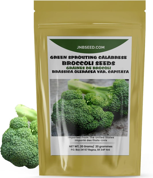 Green Sprouting Calabrese Broccoli Seeds pack ideal for Canada planting Pack de graines de brocoli calabrais Green Sprouting idéal pour la plantation au Canada