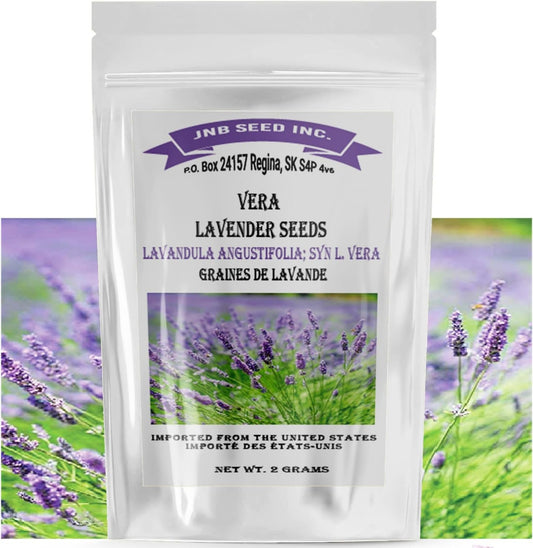 Vera Lavender Seeds in a pack Graines de lavande Vera en paquet