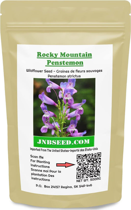 Packet of  Rocky Mountain Penstemon Packet de Rocheuses Penstemon
