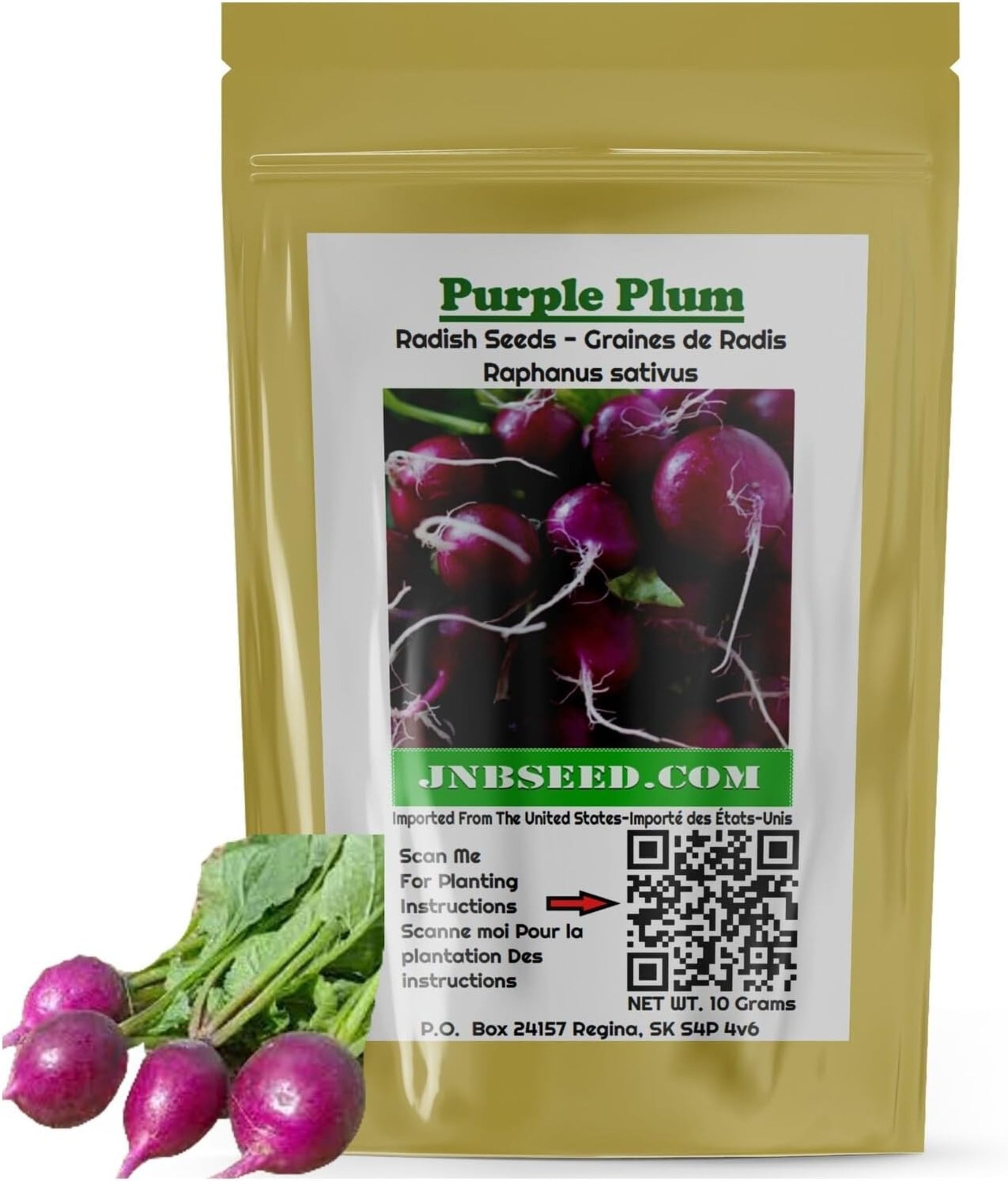 Purple Plum Radish Seeds pack for Canada planting Pack de graines de radis prune violet pour la plantation au Canada