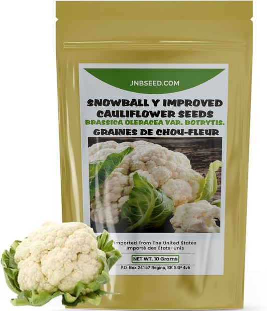 Snowball Y Improved Cauliflower Seeds pack ideal for Canada planting Pack de graines de chou-fleur améliorées Snowball Y, idéal pour la plantation au Canada