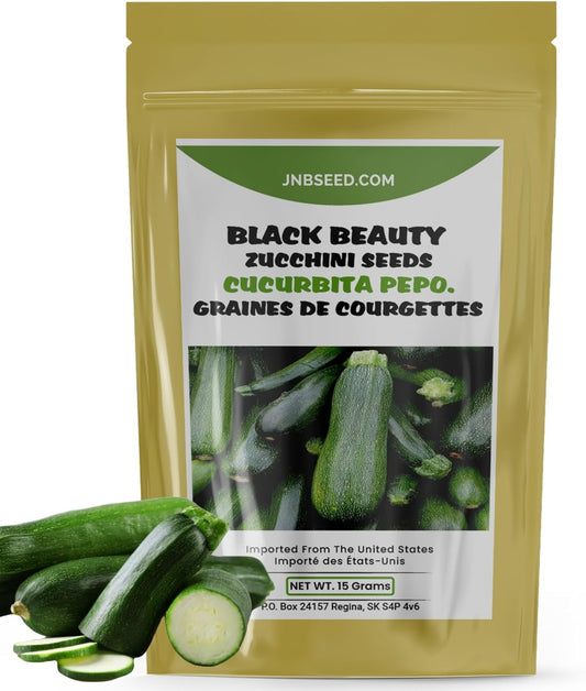 Black Beauty Zucchini Seeds pack for planting in Canada Pack de graines de courgettes Black Beauty à planter au Canada