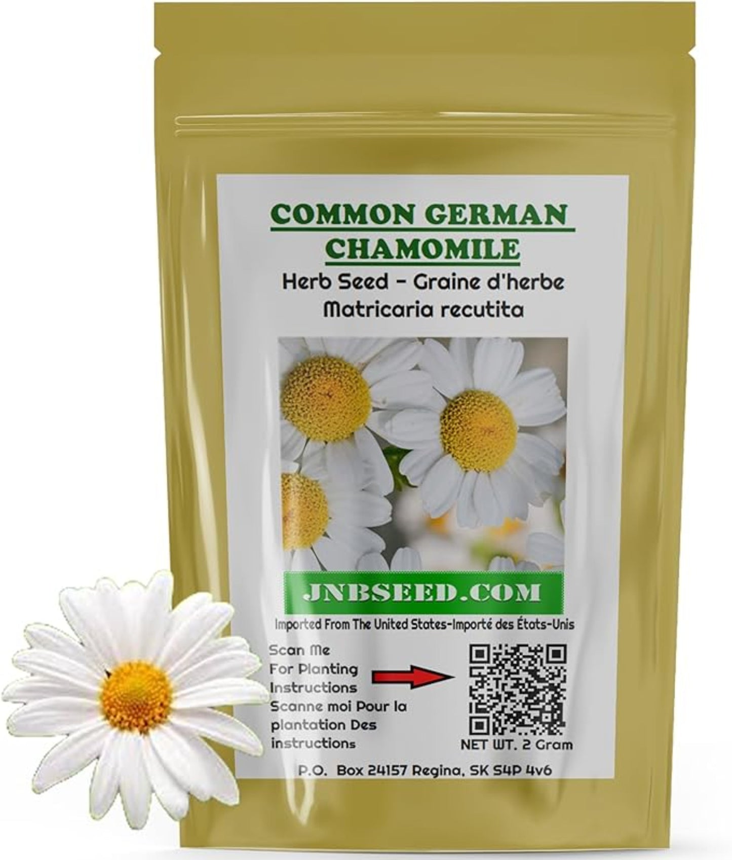 Packet of German Chamomile herb seeds ready for planting Paquet de graines de camomille allemande prêtes à être plantées