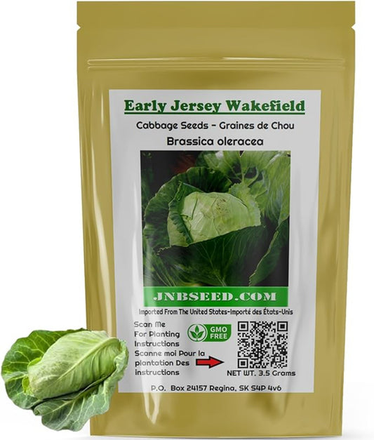 Early Jersey Wakefield cabbage packet Early Jersey Wakefield chou paquet
