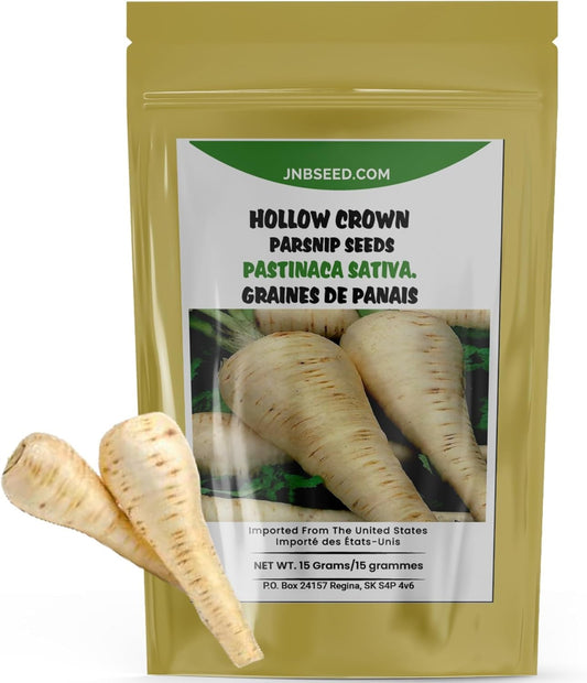 Hollow Crown Parsnip Seeds for Quality Vegetables Graines de panais à couronne creuse pour des légumes de qualité 