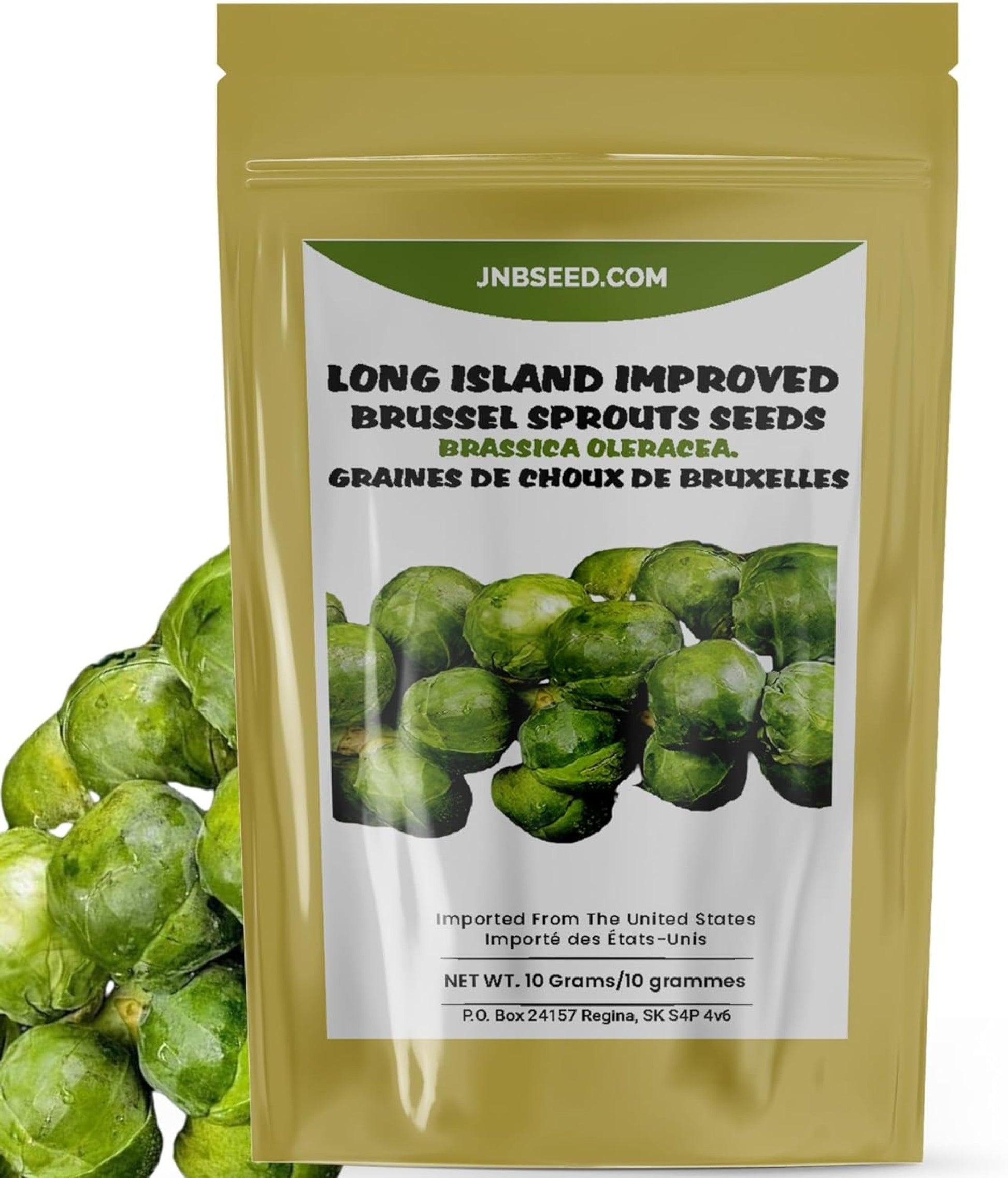 Long Island Improved Brussel Sprouts Seeds pack ideal for Canada planting Pack de graines de choux de Bruxelles amélioré de Long Island, idéal pour la plantation au Canada