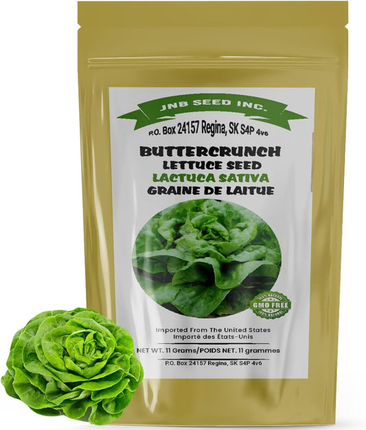 Lettuce Butterhead Bibb seed packet Sachet de graines de laitue Butterhead Bibb