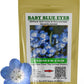 Baby Blue Eyes Wildflower Seeds pack for Canadians Pack de graines de fleurs sauvages Baby Blue Eyes pour les Canadiens