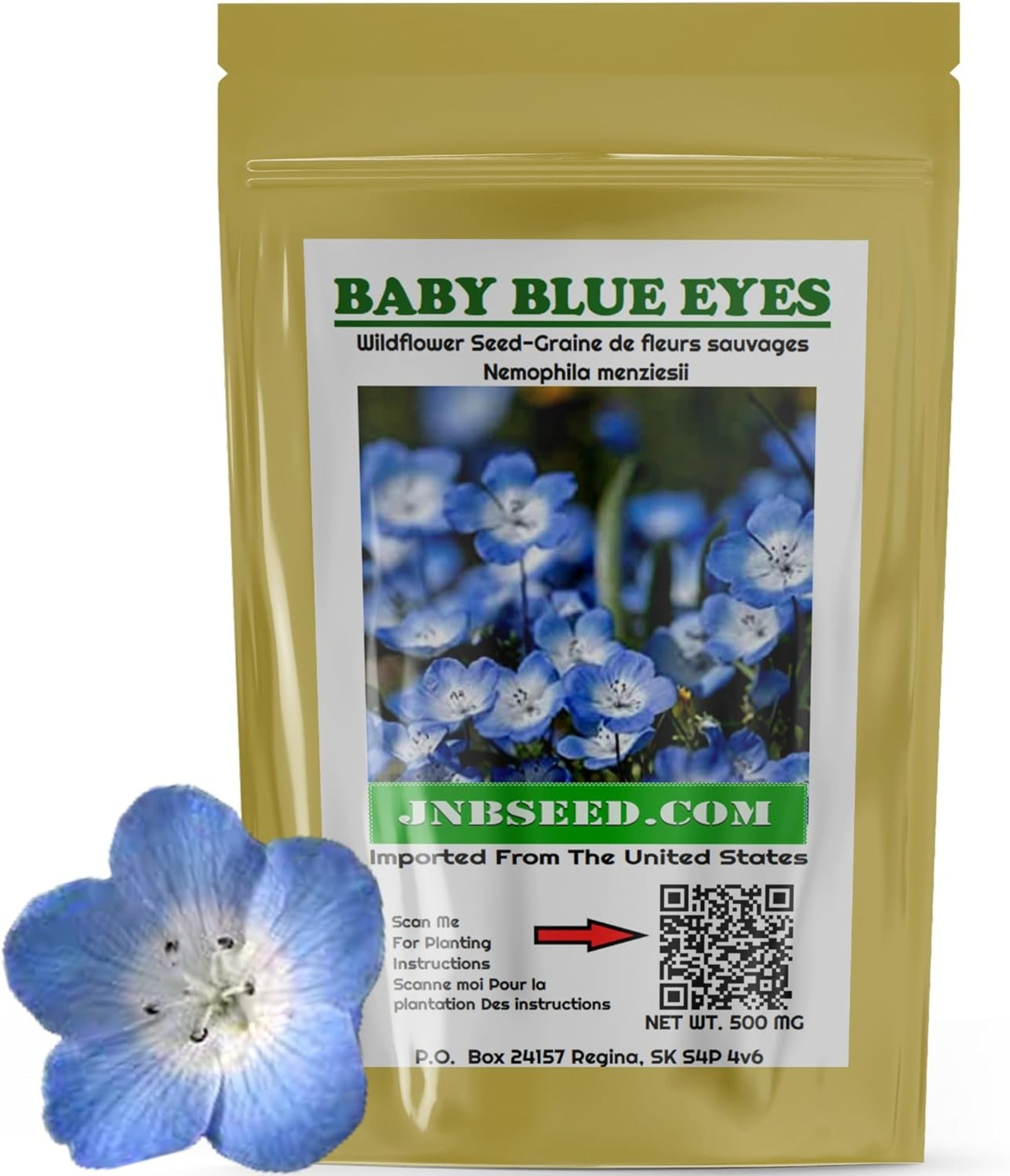 Baby Blue Eyes Wildflower Seeds pack for Canadians Pack de graines de fleurs sauvages Baby Blue Eyes pour les Canadiens