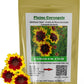 Packet of Plains Coreopsis Flower Seeds Packet de graines de fleurs de coréopsis de plaines