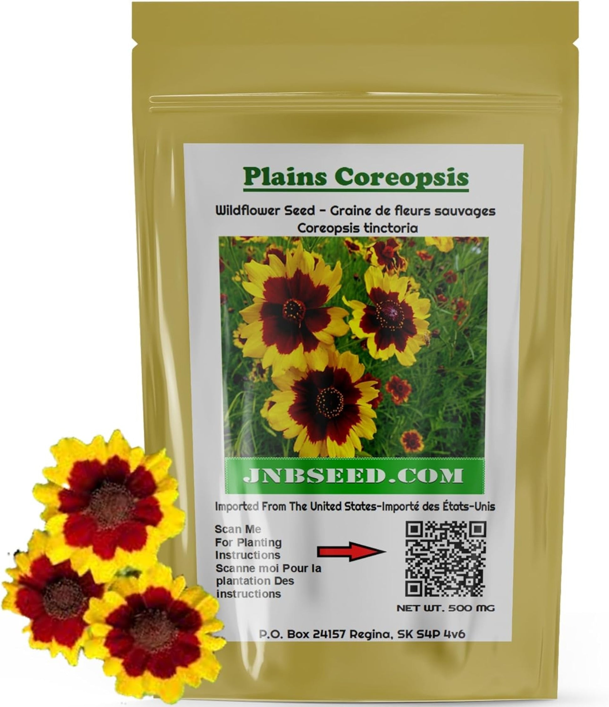 Packet of Plains Coreopsis Flower Seeds Packet de graines de fleurs de coréopsis de plaines