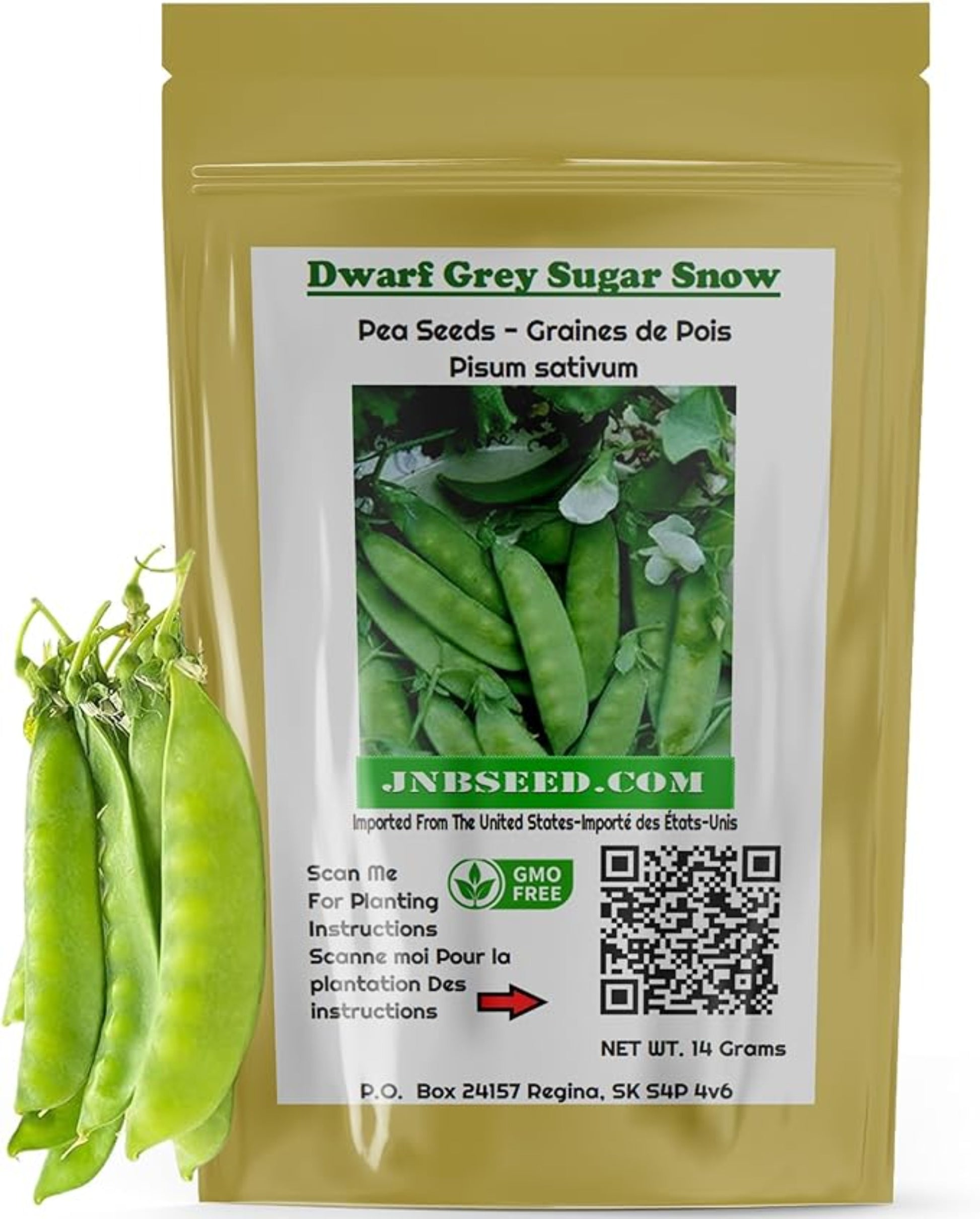 Dwarf Grey Pea Seeds - Perfect for Compact Gardens Graines de pois gris nains – Parfaites pour les jardins compacts 