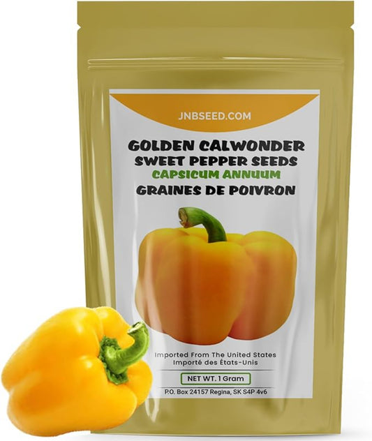 Golden California Pepper Seeds - For Pepper Garden Graines de poivre de Californie dorées – Pour Pepper Garden 