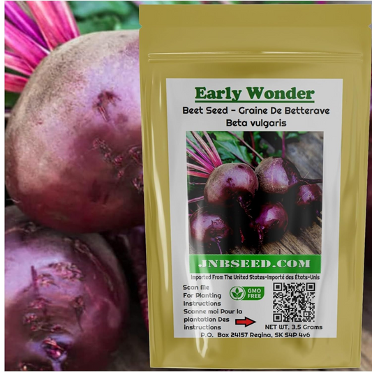 Packet of early wonder beetroot seeds for starting a garden Sachet de graines de betterave early wonder pour démarrer jardin