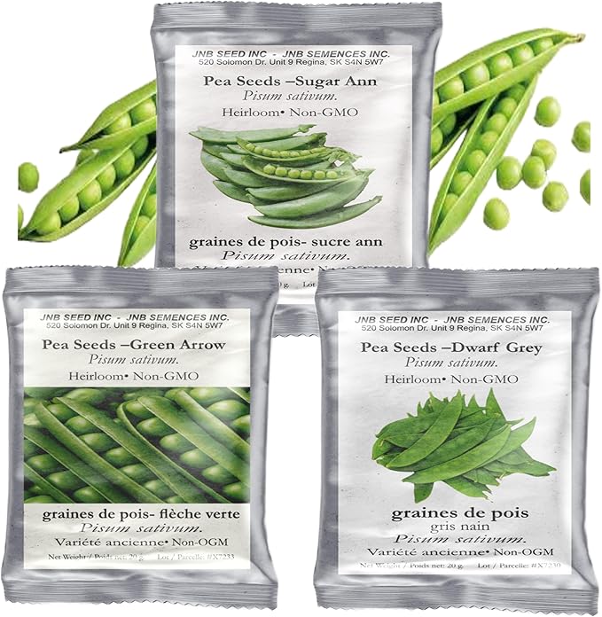 Pea Seeds 3 Pack Variety - Dwarf Grey, Green Arrow, Sugar Ann