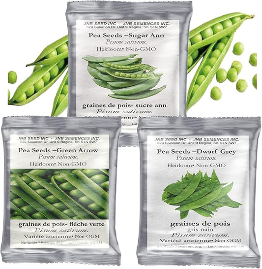 Pea Seeds 3 Pack Variety - Dwarf Grey, Green Arrow, Sugar Ann