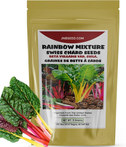Rainbow Mixture Swiss Chard Seeds pack for Canada planting Pack de graines de bette à carde Rainbow Mixture pour la plantation au Canada