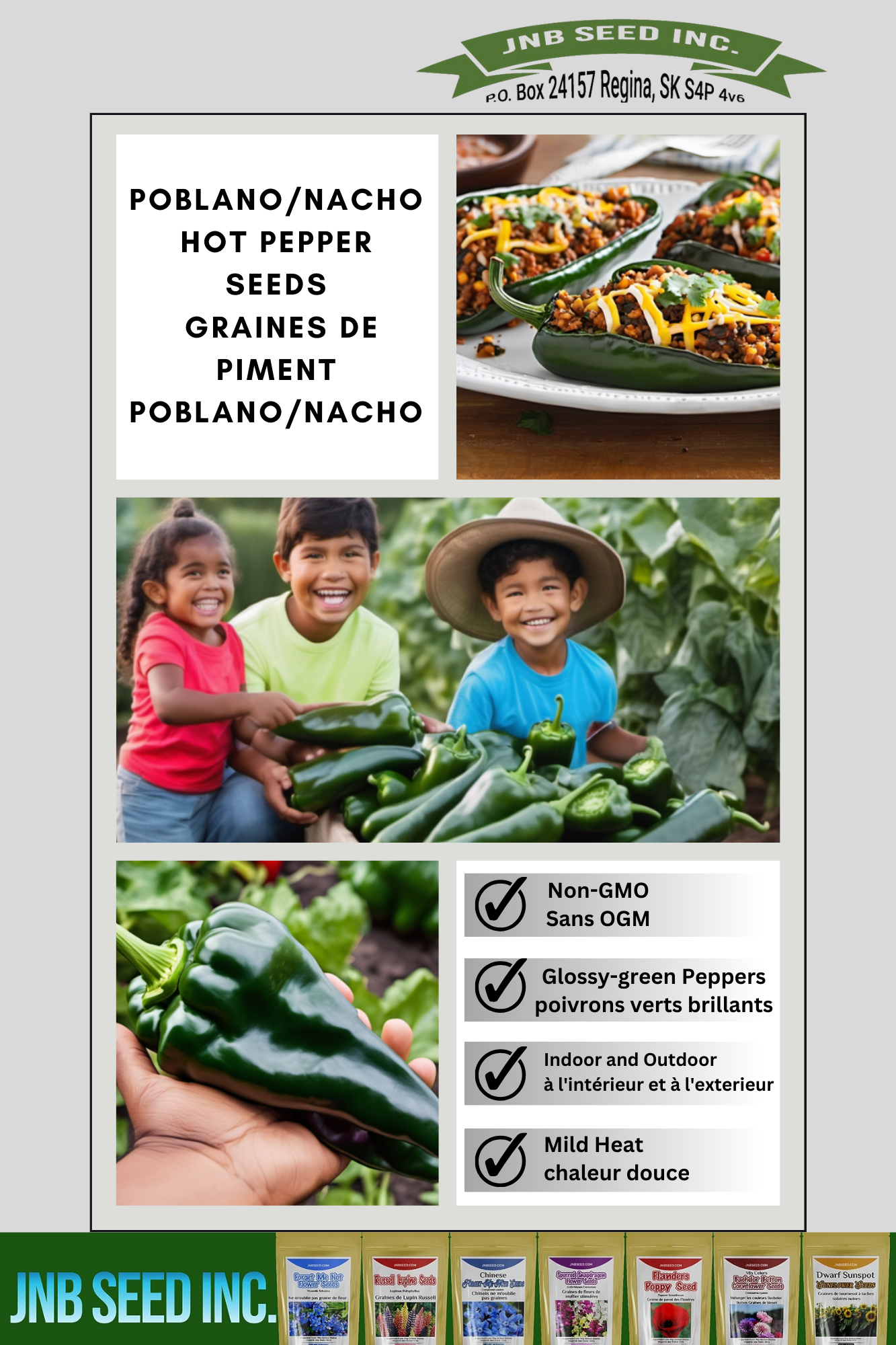 Poblano Hot Pepper Seeds Pepper Seed GMO free garden Poblano Hot Pepper Seeds graines de poivre jardin sans OGM 