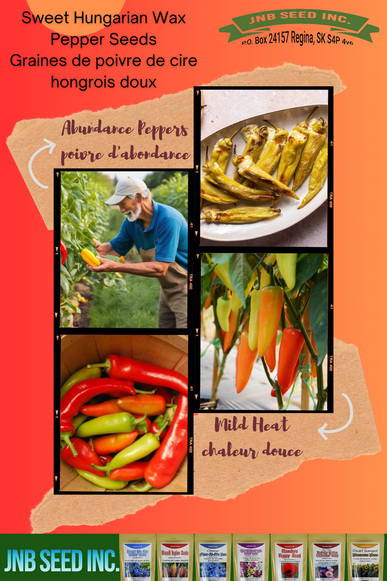 Start Garden with Sweet Hungarian Wax Pepper Seeds Commencez le jardin avec des graines de poivre de cire hongrois doux