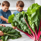 Kids enjoying Rhubarb Swiss in the kitchen Les enfants apprécient Rhubarb Swissin la cuisine